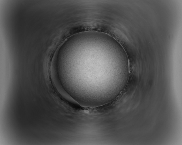 X0000092220961200709211005