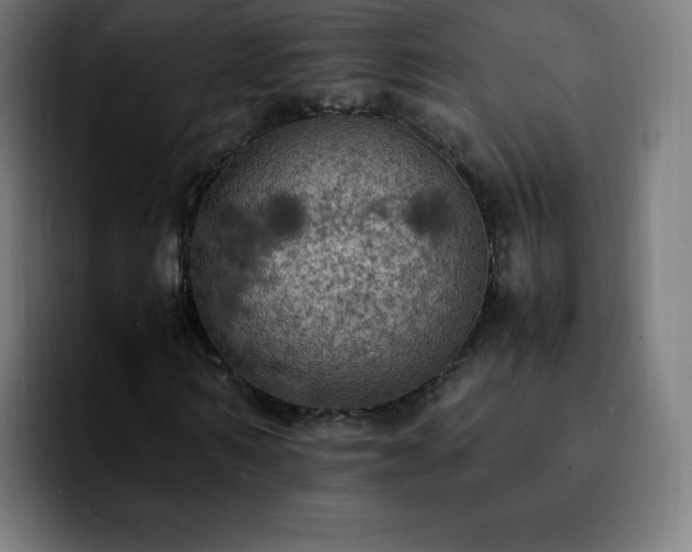 X0000092220962200709211005