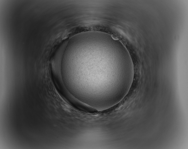 X0000092220965200709211005
