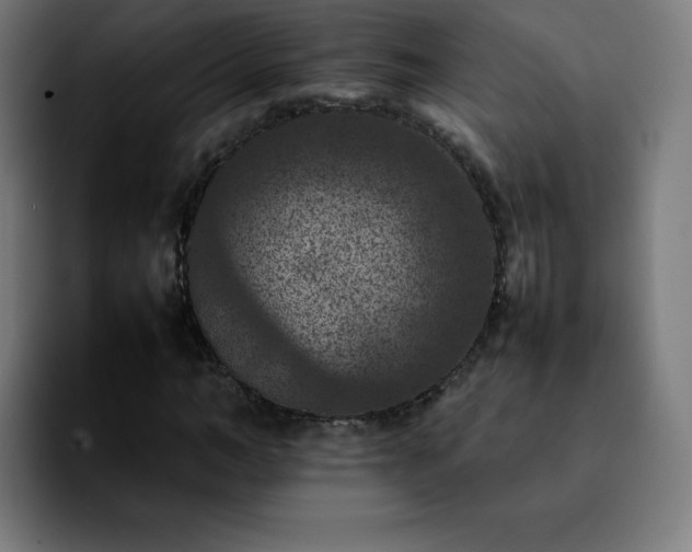 X0000092220966200709211005