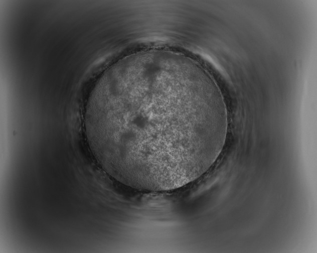 X0000092220967200709211005