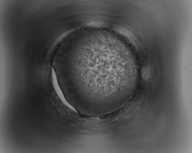 X0000092220968200709211005