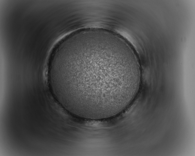 X0000092220971200709211005