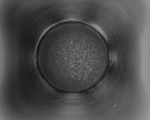X0000092220972200709211005