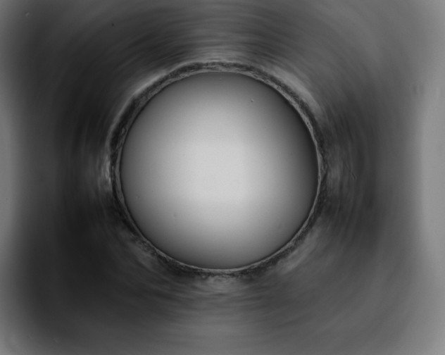 X0000092220974200709211005