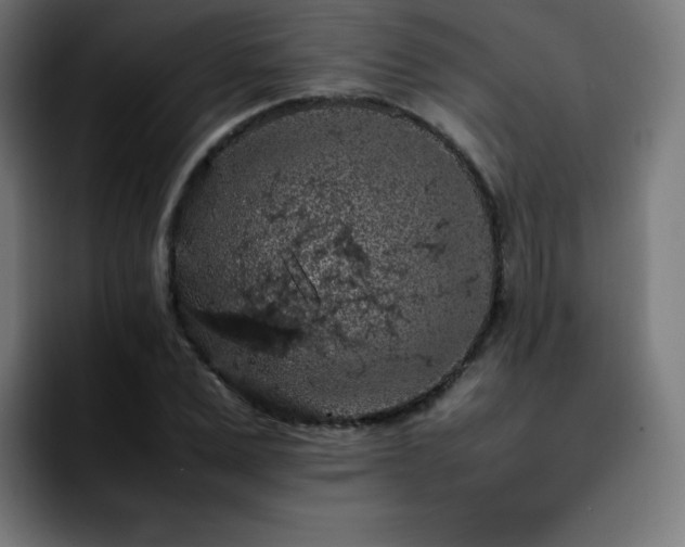 X0000092220975200709211005