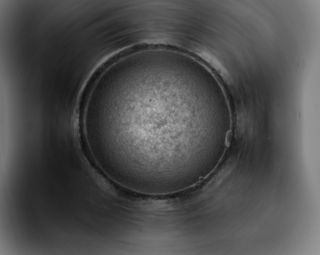 X0000092220976200709211004