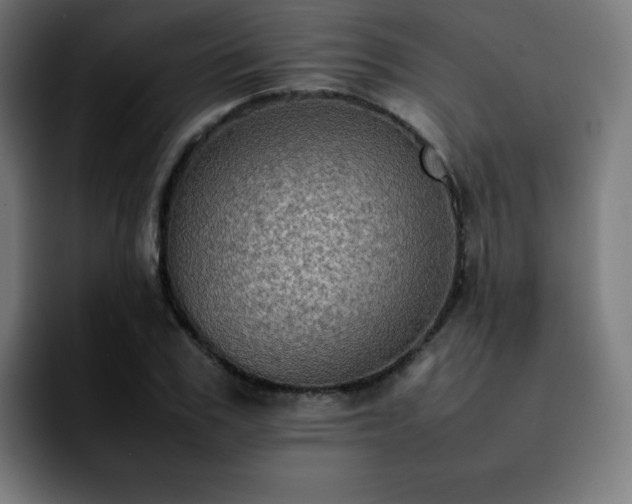 X0000092220979200709211004