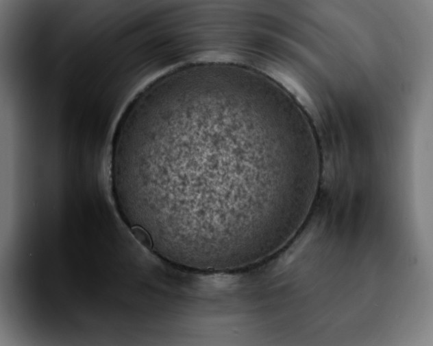 X0000092220992200709211004