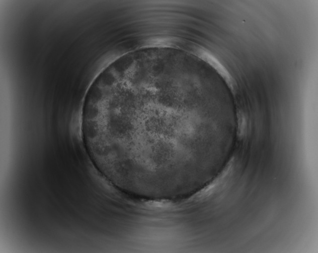 X0000092220994200709211004