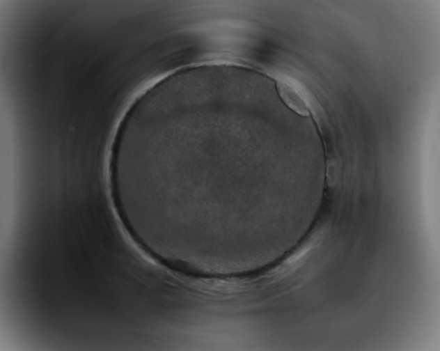 X0000092220995200709211004
