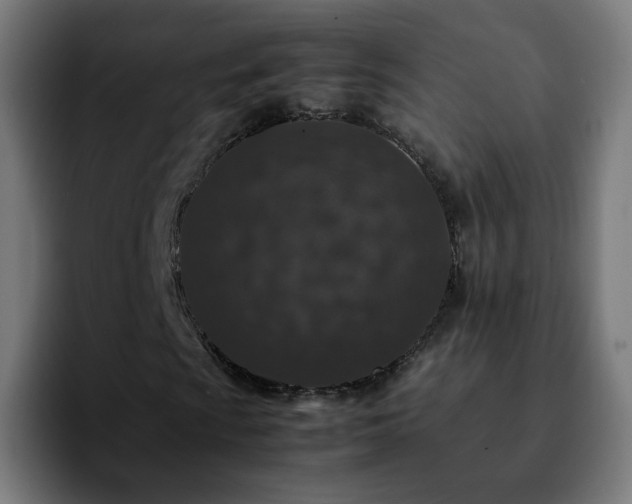 X0000092221009200709211004
