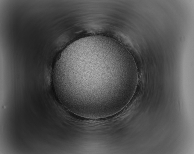 X0000092221012200709211004
