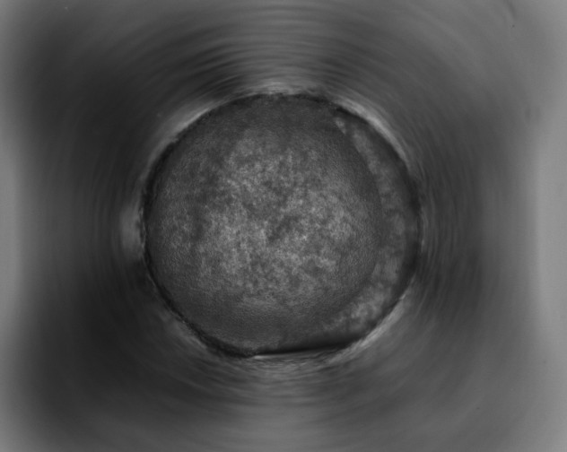 X0000092221018200709211004