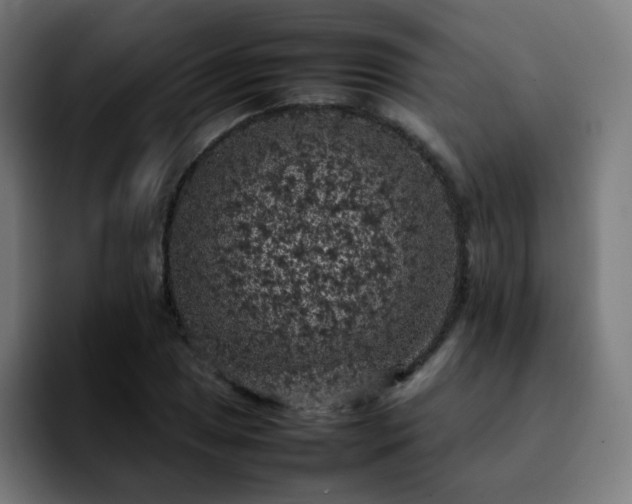 X0000092221025200709211004