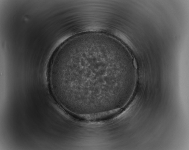 X0000092221026200709211004