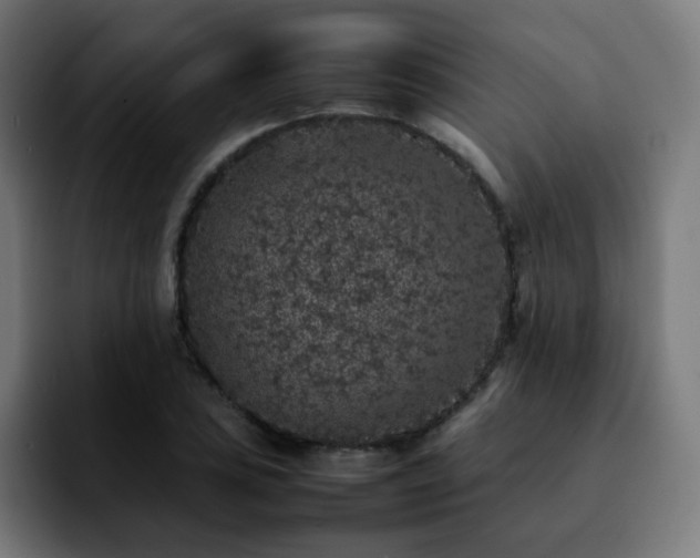 X0000092221027200709211004