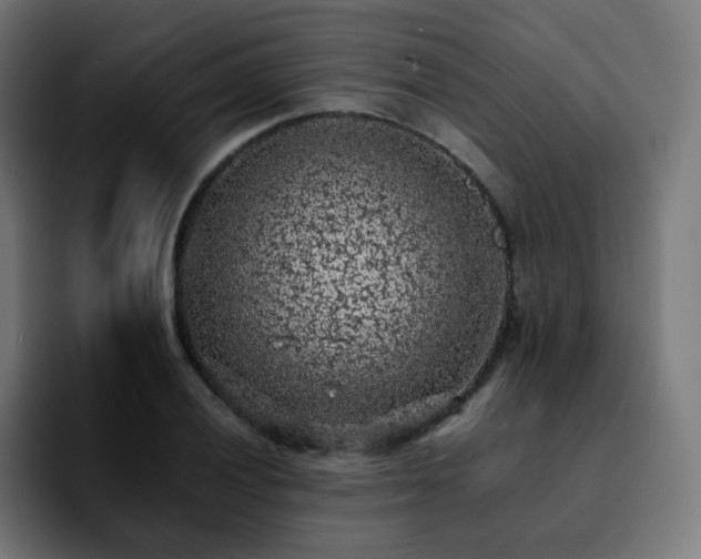 X0000092221028200709211004