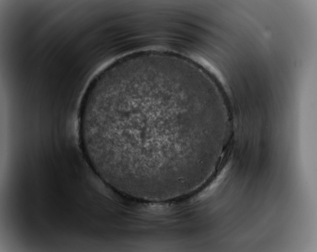 X0000092221029200709211004