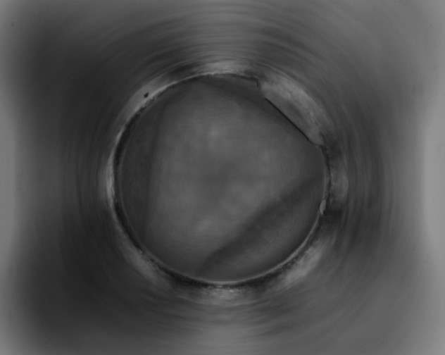 X0000092221034200709211004