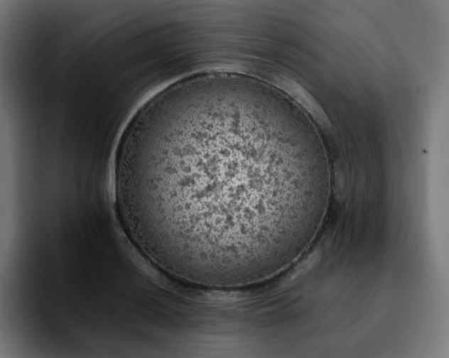 X0000092221036200709211004