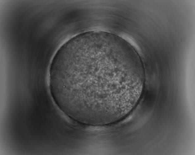 X0000092221040200709211004