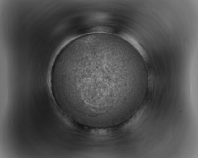 X0000092221051200709211004
