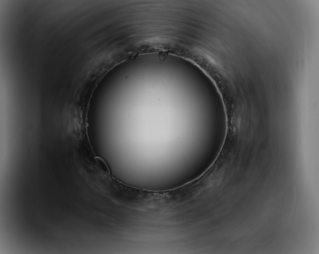 X0000092221062200709211003