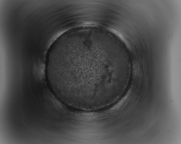 X0000092221066200709211003