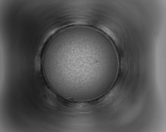 X0000092221067200709211003
