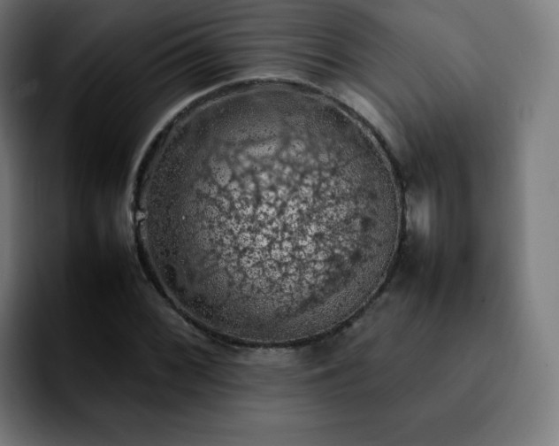 X0000092221068200709211003