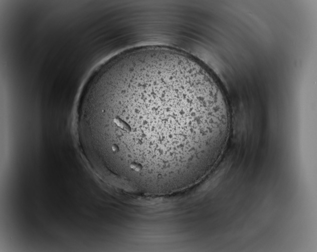X0000092221072200709211003
