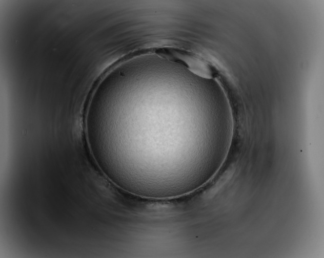 X0000092221073200709211003