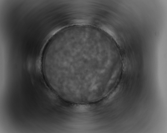 X0000092221074200709211003