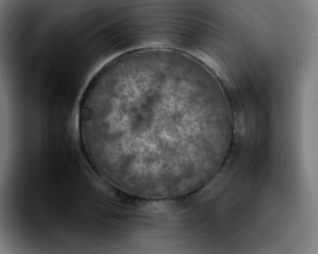 X0000092221078200709211003