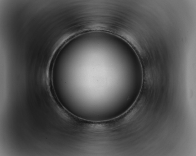X0000092221082200709211003