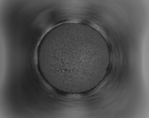 X0000092221083200709211003