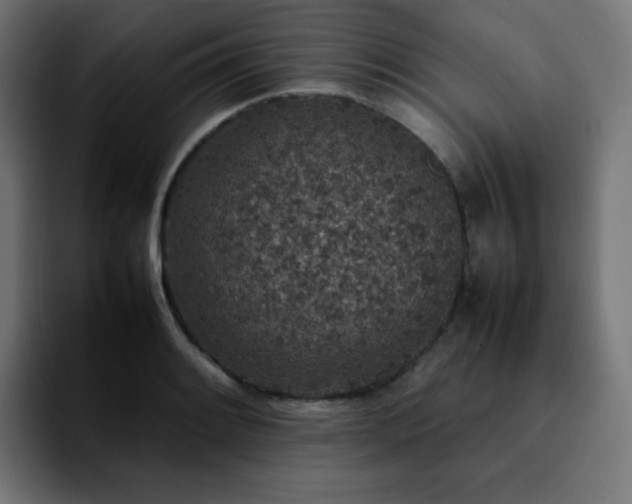 X0000092221084200709211003