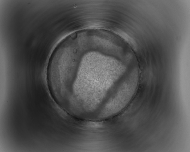 X0000092221086200709211003