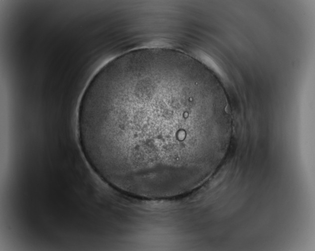 X0000092221087200709211003