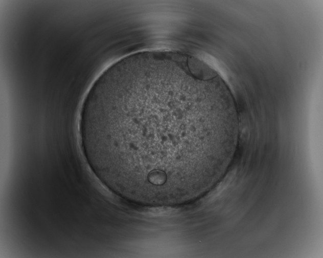 X0000092221091200709211003