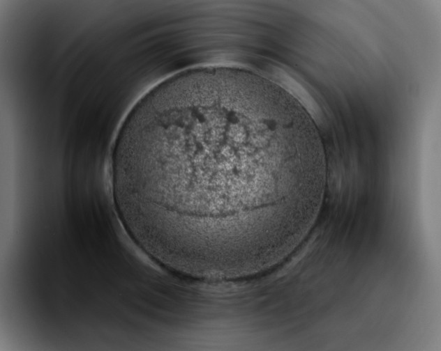 X0000092221092200709211003