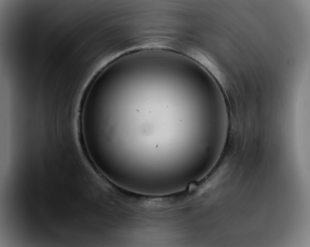 X0000092221093200709211003