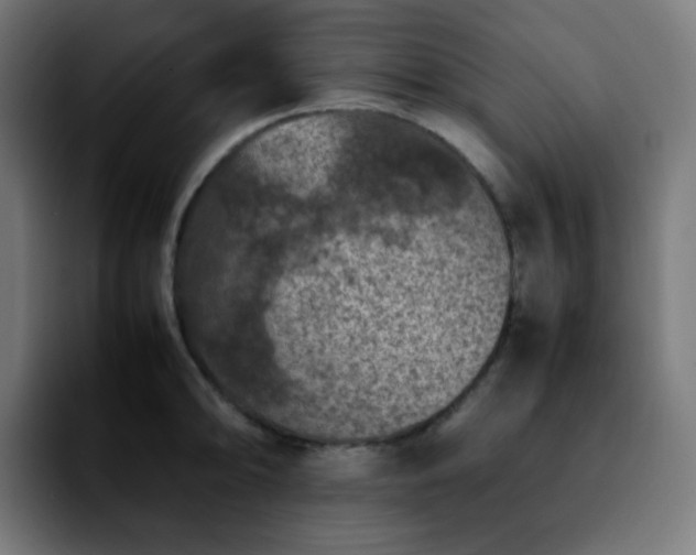 X0000092221094200709211003
