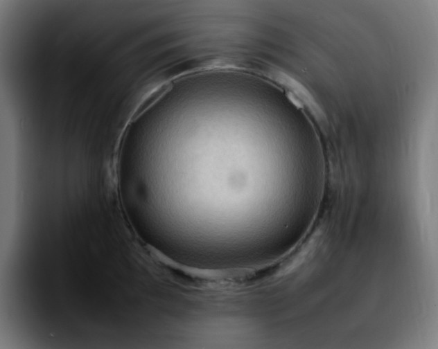 X0000092221097200709211003