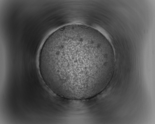 X0000092221104200709211003