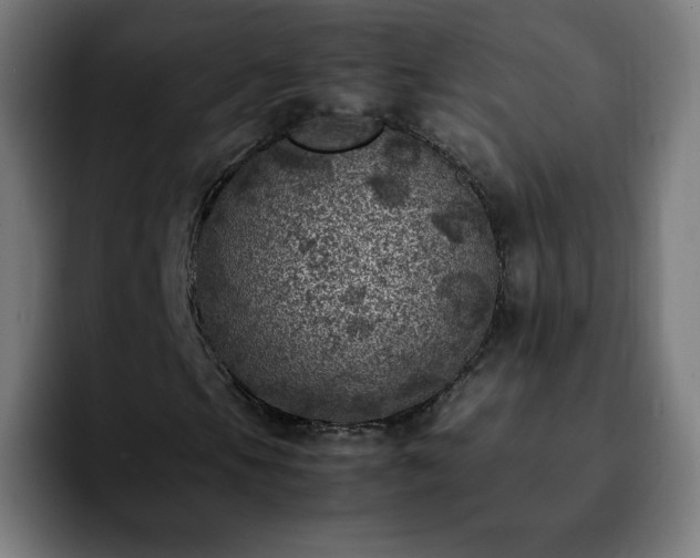 X0000092221105200709211002