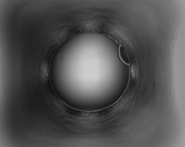 X0000092221107200709211002