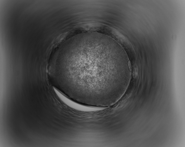 X0000092221108200709211002