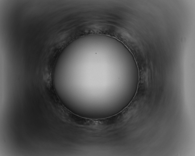 X0000092221109200709211002